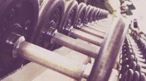 Lee más sobre el artículo Vestibulum sapin prin quam