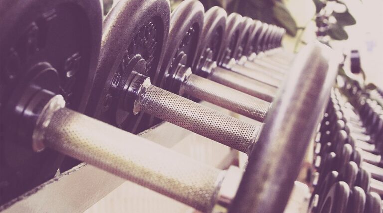 Lee más sobre el artículo Vestibulum sapin prin quam